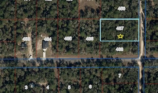 LOT 487 NE 102nd Ct, East Bronson, FL 32621