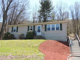 310 W Foothills Dr, Drums, PA 18222