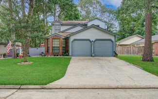 27 Camberwell Ct, Spring, TX 77380