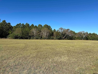 12B  / TBD Old Spanish Trial Dr, Alto, TX 75925