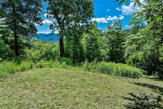 TBD Kestrel Ln Unit T-75, Black Mountain, NC 28711
