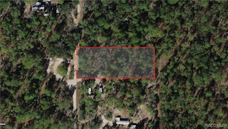 4937 N Mattox Point, Crystal River, FL 34428