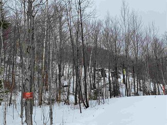 9 Sundance Village Loop, Dover, VT 05356