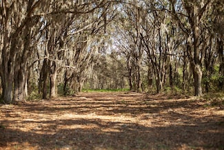 8000 Pine Island Rd, Clermont, FL 34711