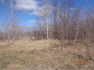 17205 Lincoln St NE, Andover, MN 55304