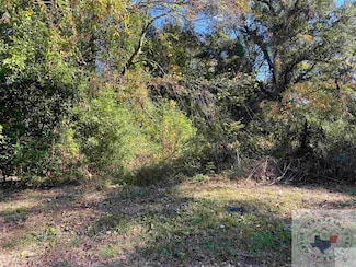 2410 Spruce St, Texarkana, TX 75503