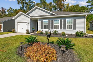 3804 Sourwood Ct, Ladson, SC 29456