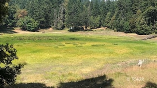 1780 McDonald Creek, Burnt Ranch, CA 95527