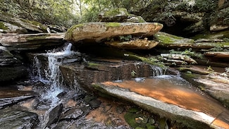 4001 River Rd, Boonville, NC 27011