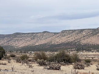 28464 Ventura Dr, Seligman, AZ 86337