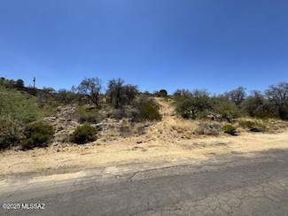 950 N Calle Futura (Entire Parcel), Oracle, AZ 85623