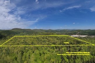 Map 7, Lot 8 Patterson Rd, Wilmot, NH 03287