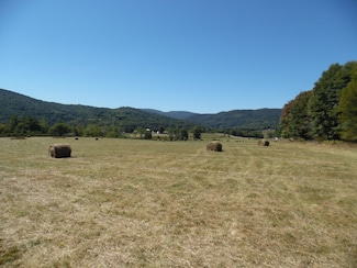 125n Pine Ave, Minehaha Springs, WV 24954