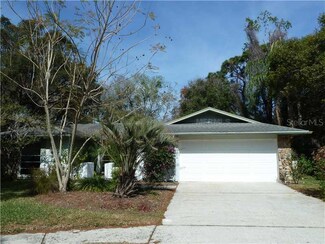 3572 Dove Hollow Ct, Palm Harbor, FL 34683