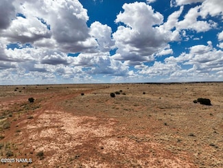 0 Well Four Rd Unit 201794, Winslow, AZ 86047