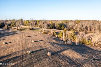 955 W Kendall Dr, Cascilla, MS 38920