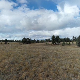 0 Singletree Rd Unit REC7886163, Buena Vista, CO 81211
