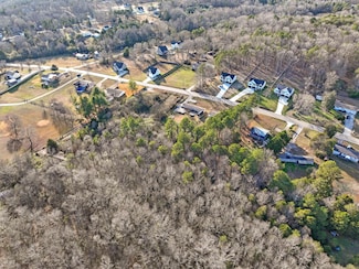 10910 Dolly Pond Rd, Birchwood, TN 37363