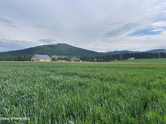 783 Lot D Old Mills Rd, Desmet, ID 83824
