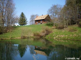9060 Tibbals Rd, Springwater, NY 14560