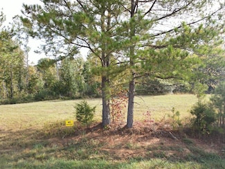 000 Leach, Cedar Grove, TN 38344