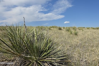 Tbd Sand Hills Rd, Moorcroft, WY 82721