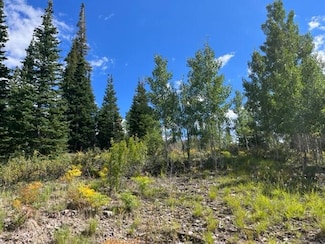 536 Toboggan Ln Unit C, Brian Head, UT 84719
