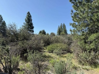 0 Lakeland Rd Unit 3007614, Chiloquin, OR 97624