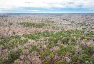 0 Havenwood Rd, Potosi, MO 63664