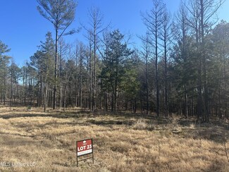 0 Springwood Trail Unit 22567398, Flora, MS 39071