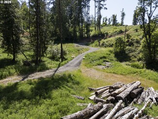 15618 S Wave Rd, Mulino, OR 97042
