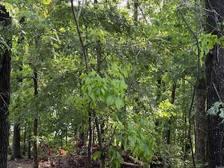 Lot 8 Island View Dr, Greers Ferry, AR 72067