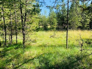Nhn Griz Ln, Marion, MT 59925
