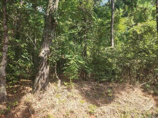 TBD County Road 294 E, Kilgore, TX 75662