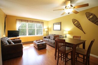 28 Packard Rd S Unit 108, Waterville Valley, NH 03215