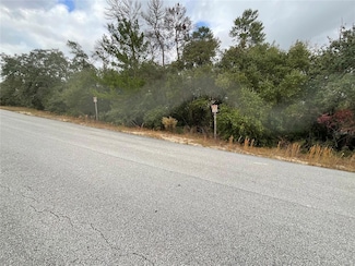 TBD SW 111th Place, Ocala, FL 34476