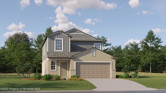 17675 Happytrails St, Land O' Lakes, FL 34638