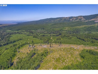 0 Walberg Rd Unit 233205190, Chinook, WA 98614
