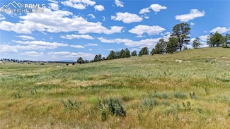 10958 Alamar Way, Black Forest, CO 80908