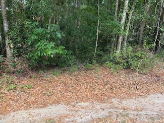 0 SE 63 Ave Unit MFRO6307639, Summerfield, FL 34491