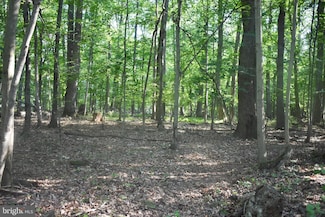0 Cedar Grove Rd Unit MDBC2131954, Sparks Glencoe, MD 21152
