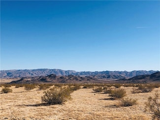46 Desert Lilly Rd, Joshua Tree, CA 92252