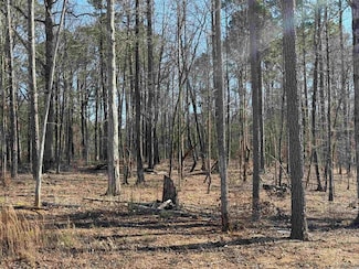 Lot 11 Clear View Dr, Benton, AR 72019