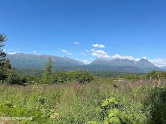 L15 Mc Kenzie Dr, Lazy Mountain, AK 99645