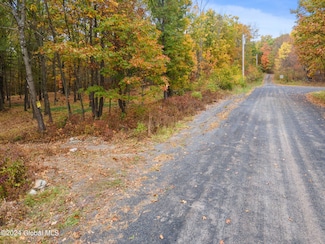 L7 Harroway Rd, Richmondville, NY 12149
