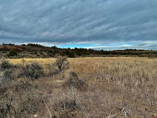 000 T5 Rd, Dolores, CO 81323