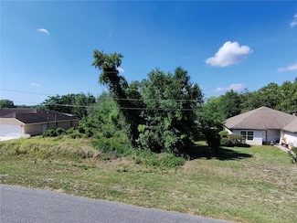 0 Olive Rd Unit MFROM702102, Ocala, FL 34472