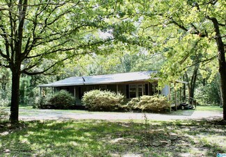 256 Neal Houston Dr, Steele, AL 35987