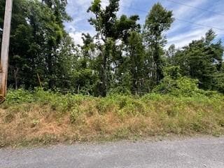 Lot 17 Whispering Heights Dr, Hardy, VA 24101