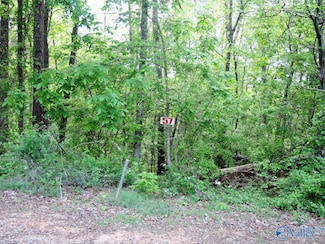 Lot 57 Oak Leaf Ct, Jasper, AL 35504